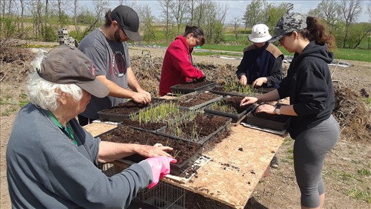 Une journée à la ferme pour découvrir l'agriculture biologique