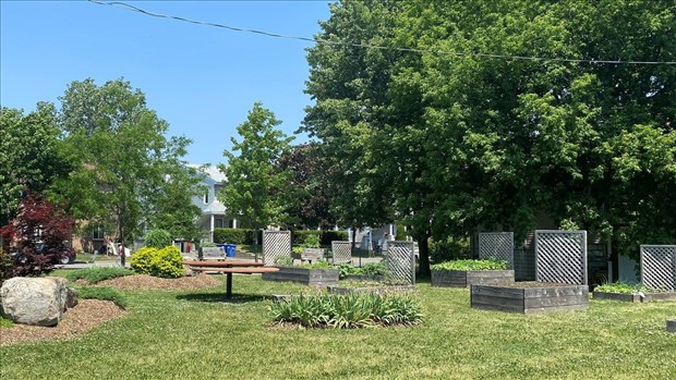 Jardins communautaires: des espaces encore disponibles à Vaudreuil-Dorion