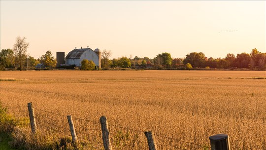 Des agriculteurs mécontents de la tournure des événements