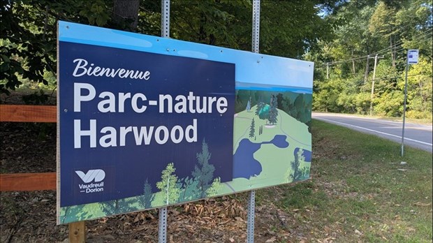 Un bioblitz pour découvrir la biodiversité au parc-nature Harwood 