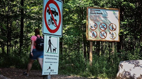 Un plan de conservation en élaboration pour Sandy Beach à Hudson 
