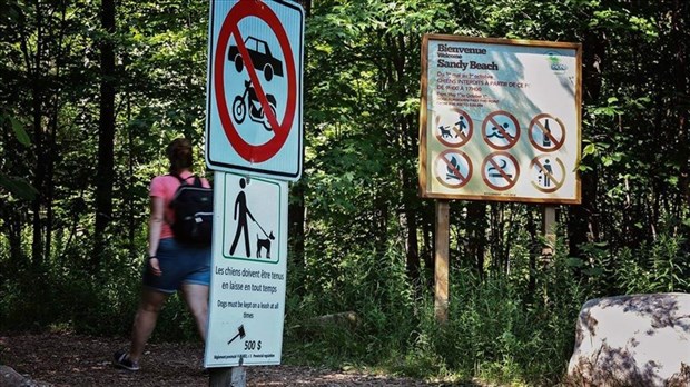 Un plan de conservation en élaboration pour Sandy Beach à Hudson 