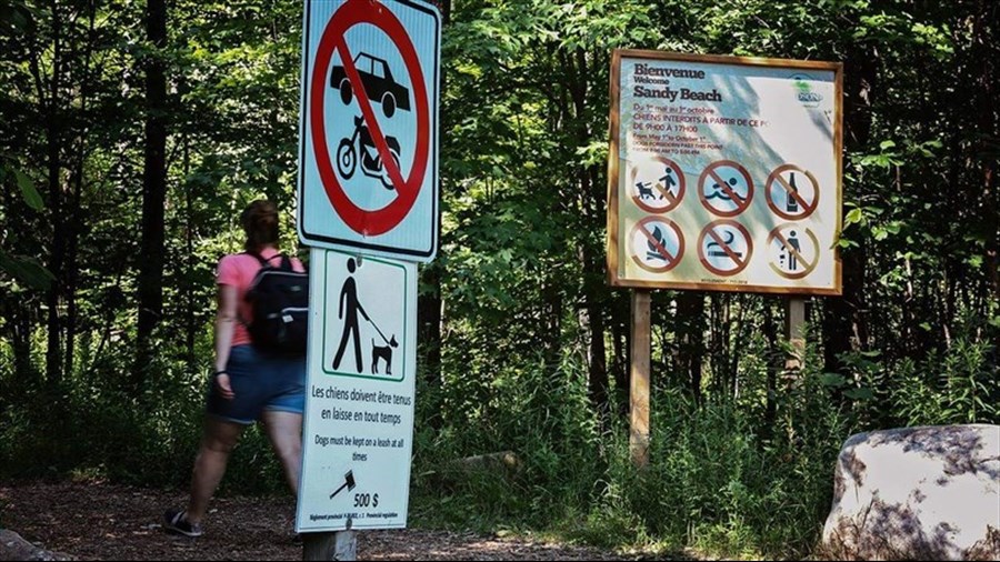 Un plan de conservation en élaboration pour Sandy Beach à Hudson 