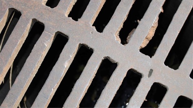 Notre-Dame-de-l'Île-Perrot: vérification des branchements d'égouts 