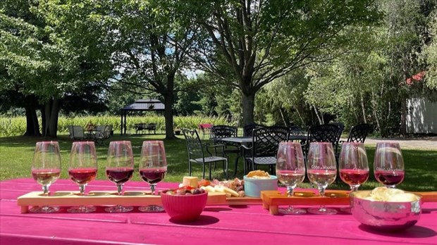 Le Vignoble Côte de Vaudreuil voit « la Vie en Rosé »