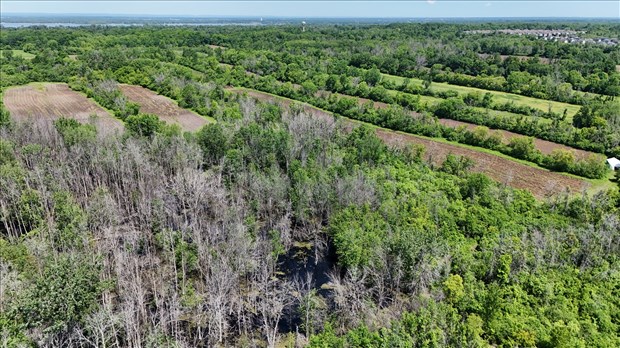 Cultiver la biodiversité au cœur de l'Ouest-de-l'Île