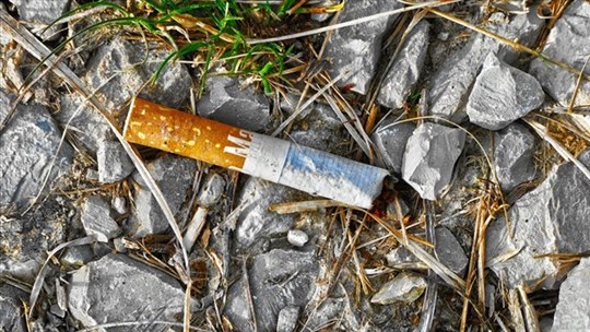 Les mégots jetés au sol causent 80 % des feux de végétation par année 