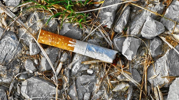 Les mégots jetés au sol causent 80 % des feux de végétation par année 
