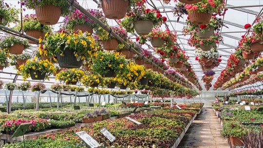 Une deuxième édition de Culture botanique à la Jardinerie Chez Ben