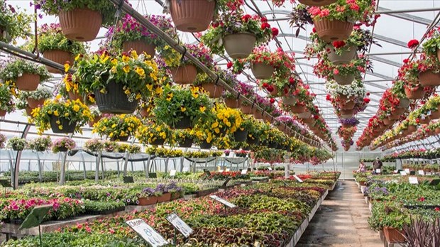 Une deuxième édition de Culture botanique à la Jardinerie Chez Ben