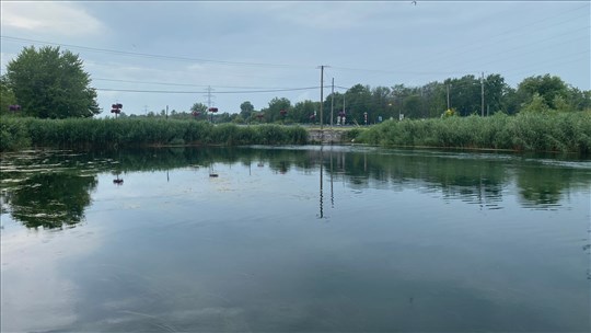 Un plongeur découvre une épave à Coteau-du-Lac