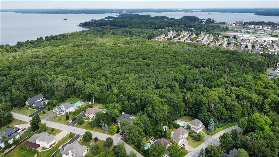 L'acquisition du boisé de Vaudreuil-sur-le-Lac fait débat