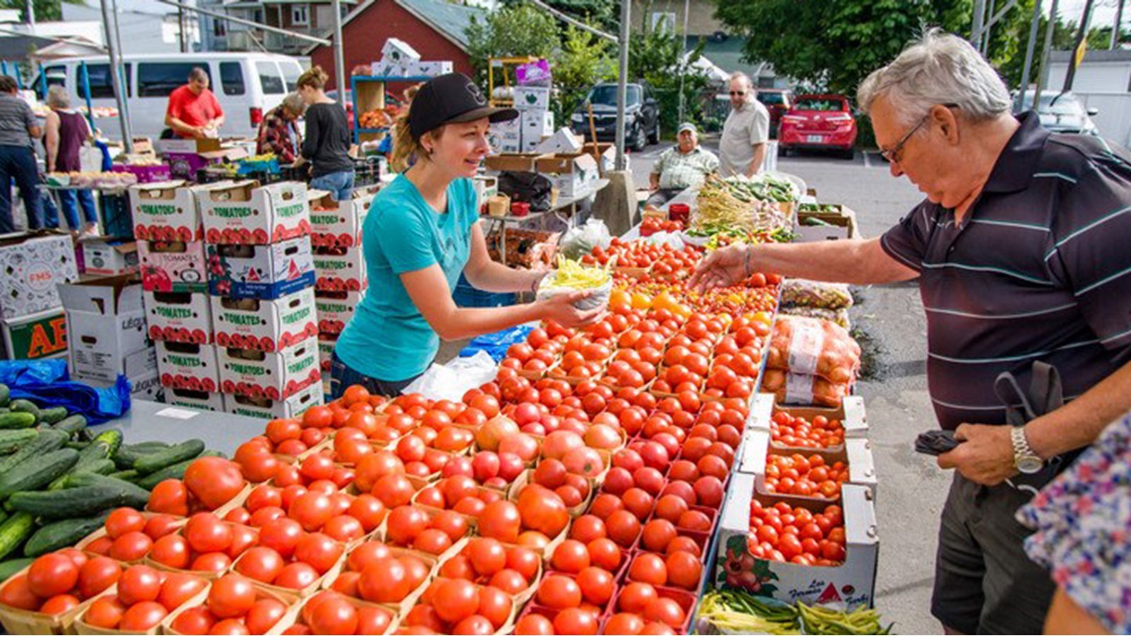 Curriculum vitae saguenay 08 picture