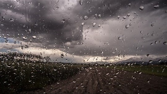 Pluies abondantes : un comité de suivi régional mis en place pour aider les agriculteurs