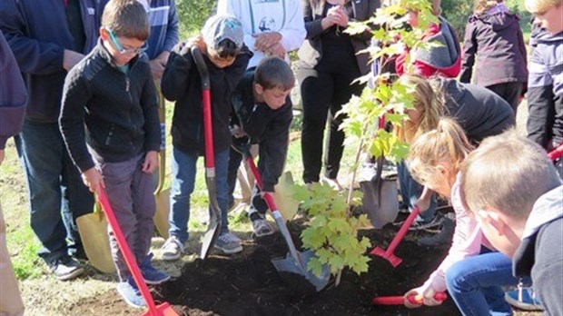 Naissance d'une forêt urbaine à Salaberry-de-Valleyfield 