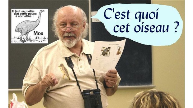 Apprendre à identifier les oiseaux grâce à la SOFASO 