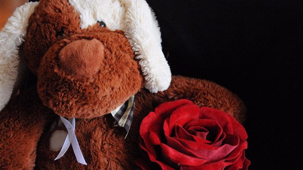 Un ruban blanc et une rose rouge pour lutter contre la violence faite aux femmes