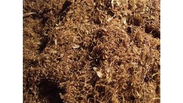 Deux Campivallensiens arrêtés pour possession de tabac de contrebande