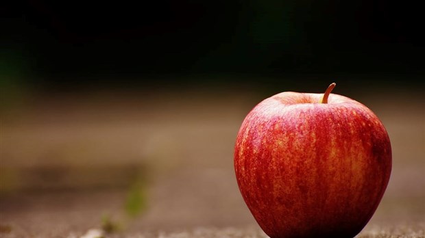 Le Centre Action bénévole Soulanges reçoit un important don de fruits et légumes