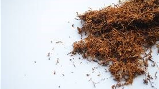 1205,27 kilos de tabac de contrebande et une amende de 131 374.43$