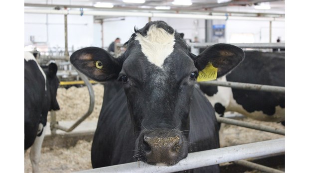 Entreprises agricoles recherchées pour la 16e édition 