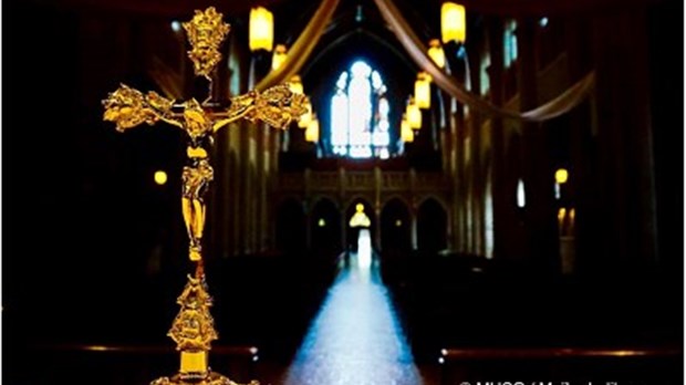La Basilique-cathédrale Sainte-Cécile vous ouvre ses portes