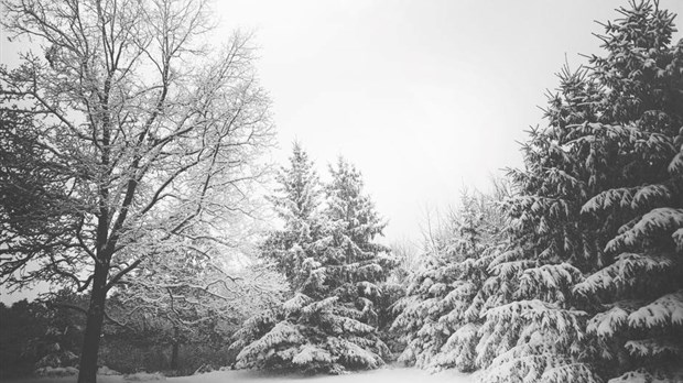 Néomédia Valleyfield recherche les plus beaux paysages de la région