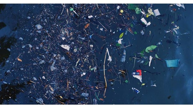 Deux québécois lancent un nouveau média dédié aux enjeux environnementaux