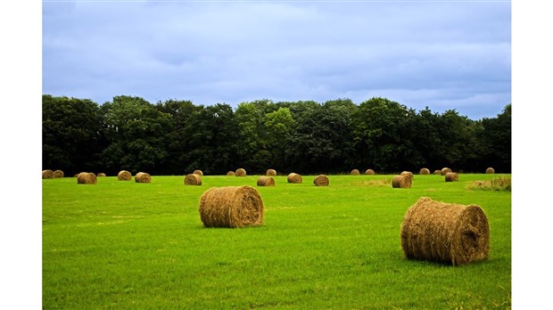 Financement agricole Canada opte pour Beauharnois pour accueillir ses nouveaux bureaux  
