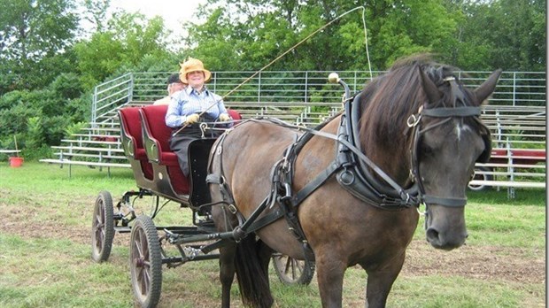 Le Festival au Galop de Saint-Lazare 