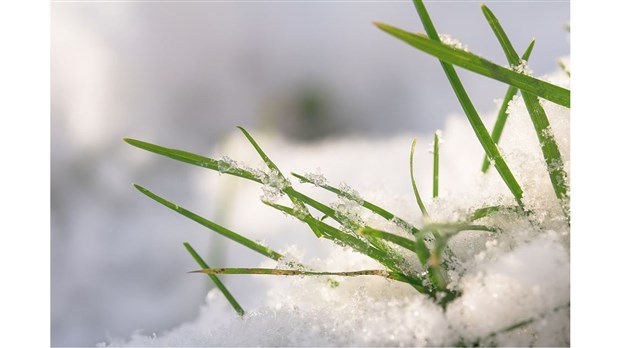 L’arrivée du printemps rime avec le retour de certains règlements à Salaberry-de-Valleyfield  