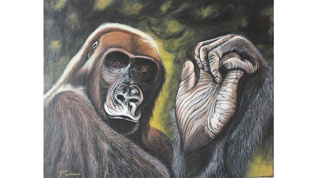Un Campivallensien d’adoption en vedette à la Galerie Marie et Pierre Dionne de Beauharnois  