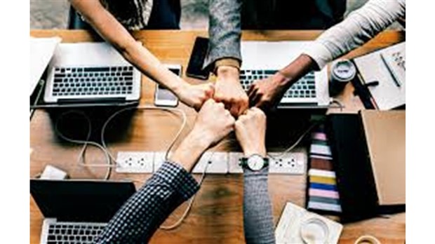  Encourager l’entrepreneuriat et le mentorat grâce à Dans l’œil du mentor 