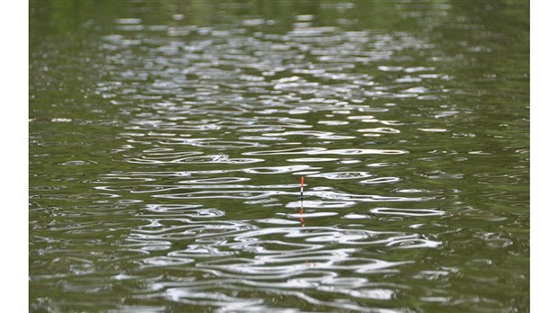 La qualité de l’eau des rivières : un enjeu suivi de près 