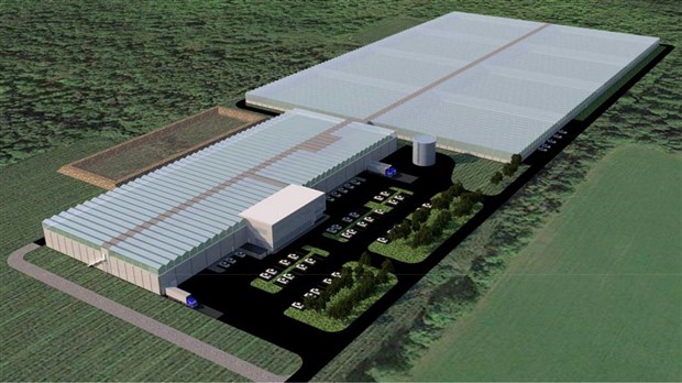 Salaberry-de-Valleyfield accueillera une usine de production de cannabis