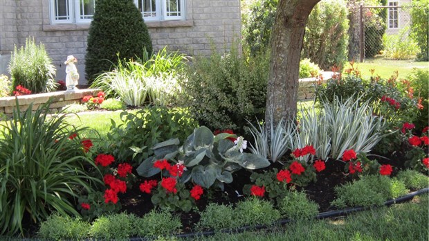 Sept gagnants du concours Jardins Fleuris 2018 se séparent 1100$ à Sainte-Martine 