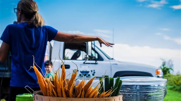 L'agriculture au coeur de la Fête des Moissons à Sainte-Martine le 8 septembre prochain 