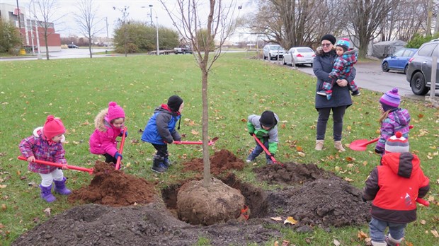 Plantons tous un arbre cet automne à Salaberry-de-Valleyfield 