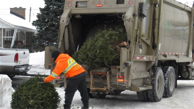 Plus de 8 tonnes de sapins de Noël collectées dans les rues de Salaberry-de-Valleyfield 