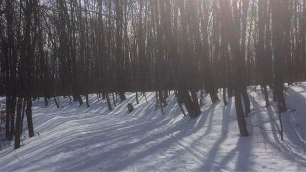 Profitez des joies hivernales au Bois Robert de Beauharnois 