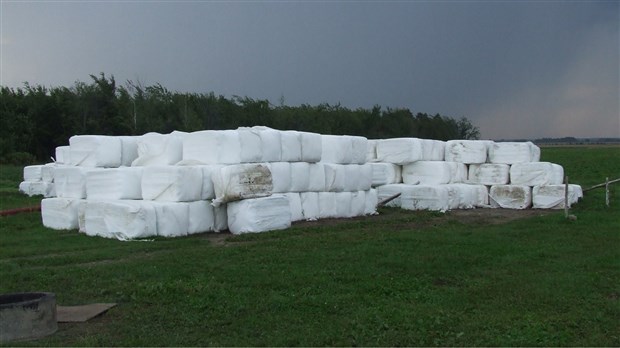 Plastiques agricoles: la collecte mensuelle déplacée au mercredi 