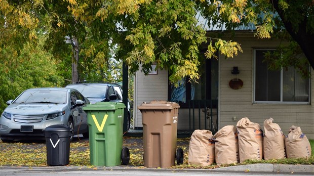Bac brun: les feuilles et résidus verts maintenant acceptés 