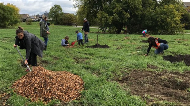360 arbres plantés en mémoire d'une bénévole appréciée 