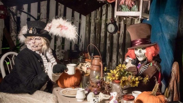L’arrêt incontournable pour une soirée d’Halloween réussie 