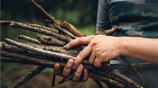 Collecte spéciale de branches à la Ville de Beauharnois dès le 11 novembre 