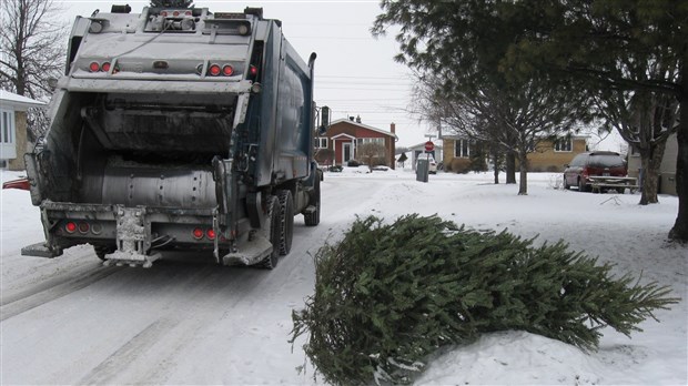 Offrez une seconde vie à votre arbre  ce jeudi à Salaberry-de-Valleyfield 