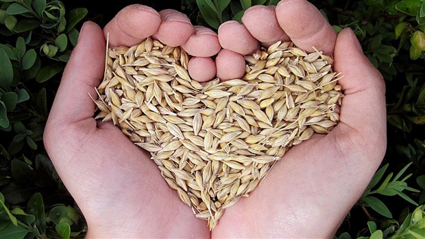 Prévenir le suicide en agriculture en contrant l’isolement 