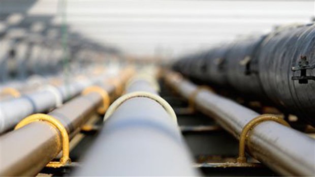 Formation d’un comité de suivi en lien avec les licences d’hydrocarbures octroyées à l’entreprise Pétrolympic