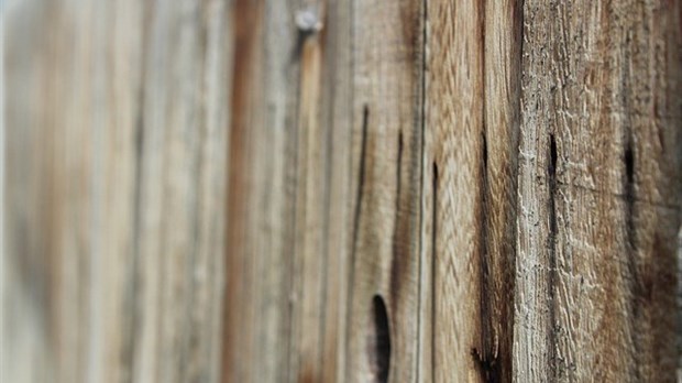 Les différents modèles de clôture en bois