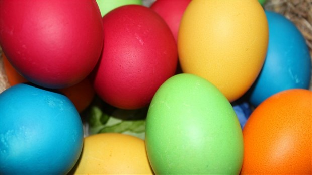 Aidez Mme Chocopoule à retrouver ses poussins égarés le samedi 20 avril 
